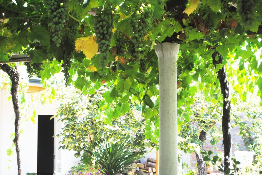 Hostal Petit Verdot Santa Cruz Dış mekan fotoğraf
